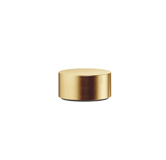 Вентиль, Dornbracht, Series specific, запорный, холодный, 1/2", цвет-латунь сатинированная