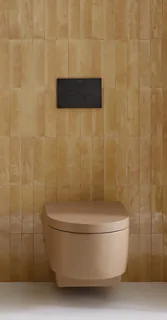 Унитаз, Duravit, Balcoon, подвесной, шгв 305*540*360, DuraShield, цвет-Clay terra matt — иконка
