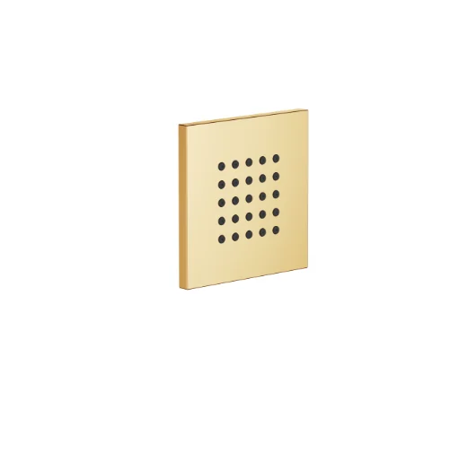 Боковой душ, Dornbracht, Series–various, WATER POINTS, цвет-латунь сатинированная