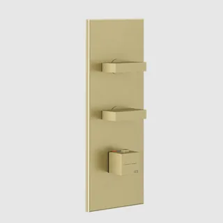 Смеситель для душа, Gessi, на 2 потребителя, настенный встраиваемый, цвет-Brushed Brass PVD