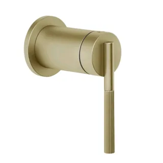 Смеситель для душа, Gessi, Ingranaggio, на 1 потребитель, цвет-Brushed Brass PVD — иконка