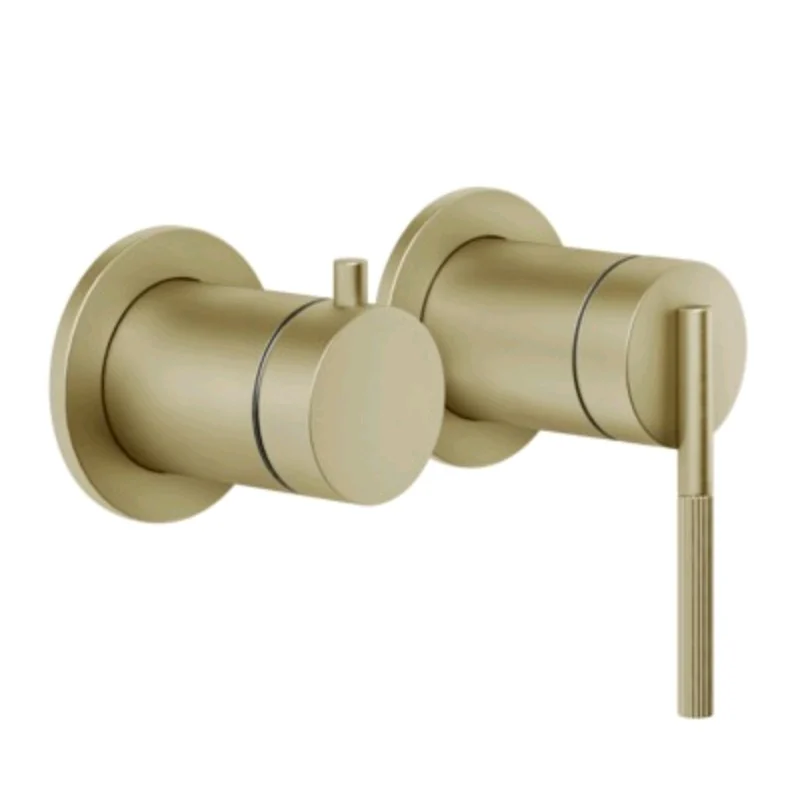 Смеситель для душа, Gessi, Ingranaggio, на 2 потребителя, цвет-Brushed Brass PVD