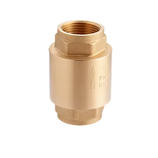 Клапан обратный, Premium, 1", ВВ, PN 25, усиленный с латунным сердечником