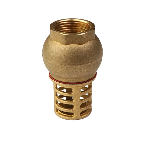 Клапан обратный, Premium, 1", ВВ, PN 16, донный