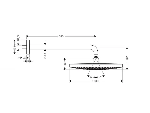 Верхний душ, Hansgrohe, Raindance Select S, 300*300, цвет-белый/хром — изображение 1