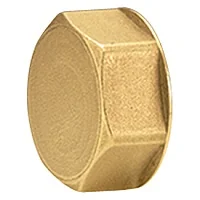 Пробка для коллектора R586, Giacomini, R594, 1" с внутренней резьбой